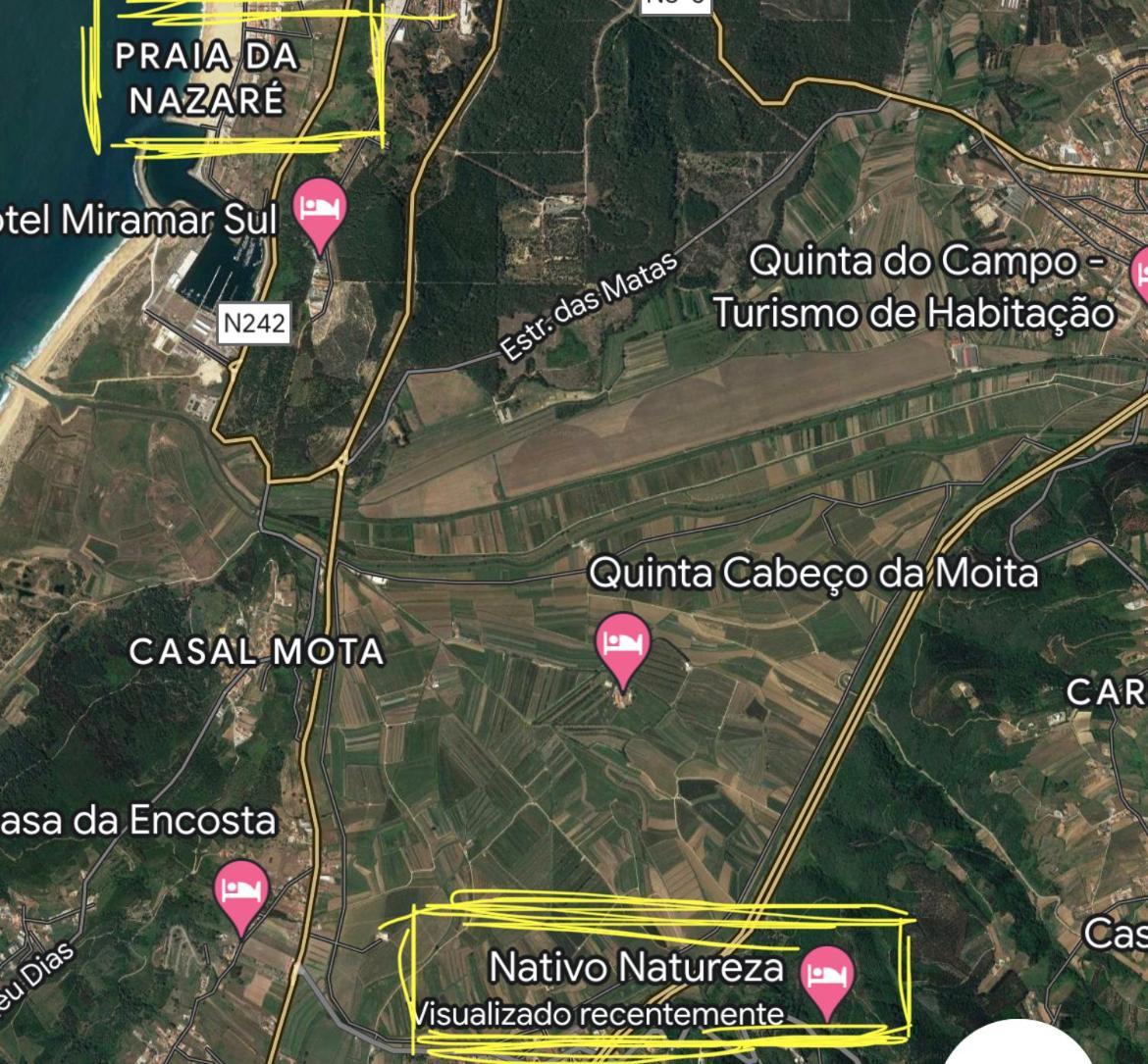 Nativo Natureza Pink Wood Cabin Cela (Leira) Exterior foto
